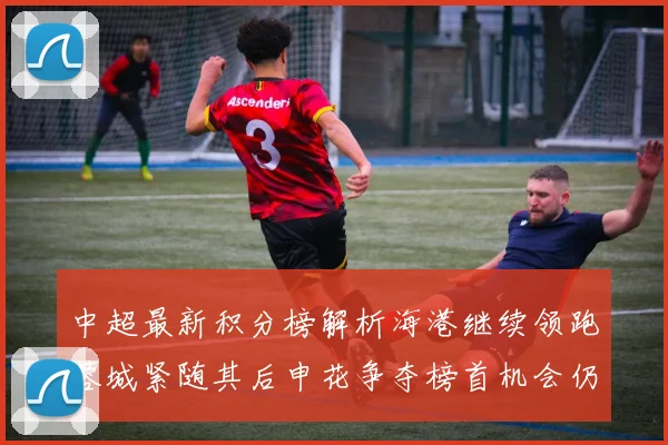 中超最新积分榜解析海港继续领跑蓉城紧随其后申花争夺榜首机会仍在