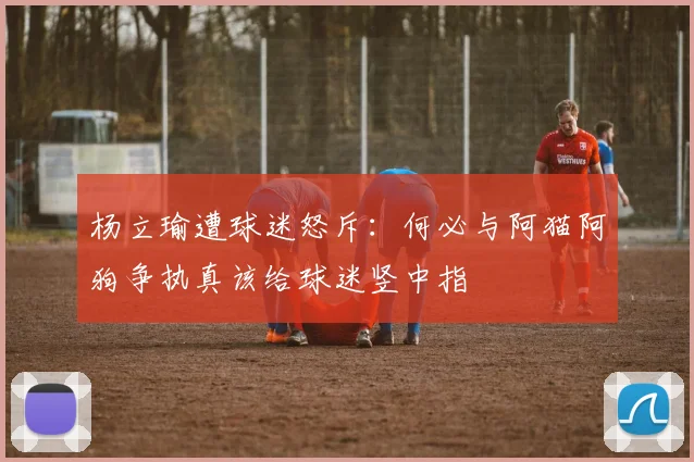 杨立瑜遭球迷怒斥：何必与阿猫阿狗争执真该给球迷竖中指