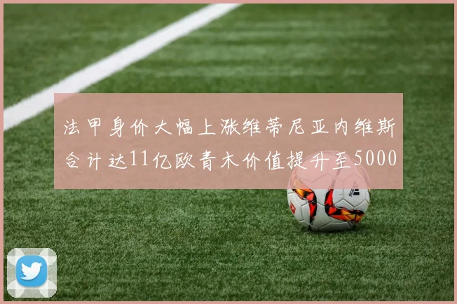 法甲身价大幅上涨维蒂尼亚内维斯合计达11亿欧青木价值提升至5000万